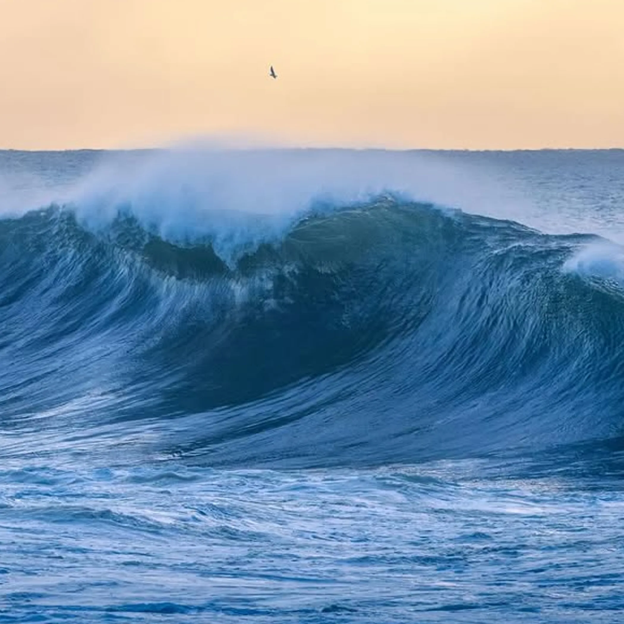 large ocean wave during coastal storm