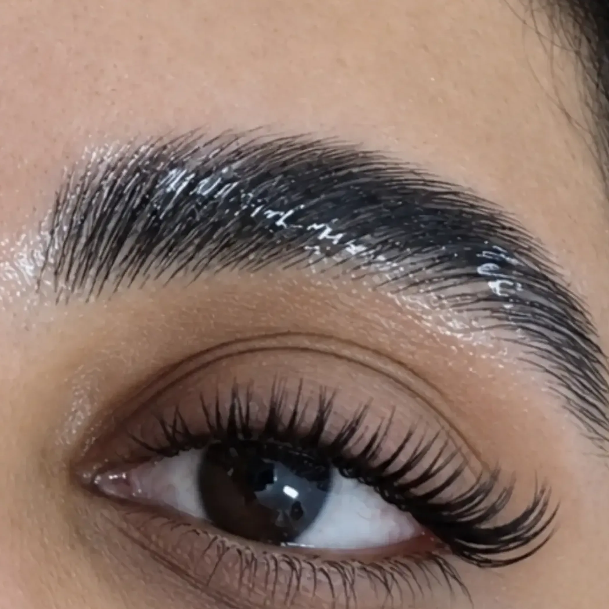 styled laminated brows and lashes